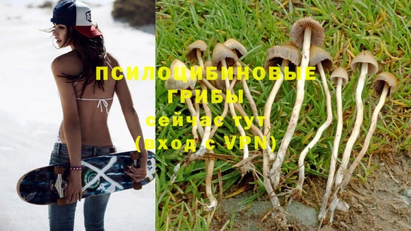 тгк Аркадак