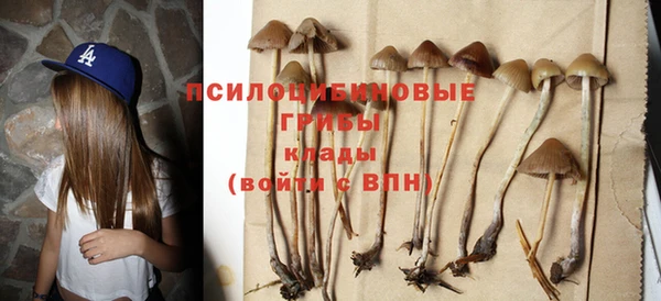 не бодяженный Армянск