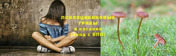 тгк Аркадак